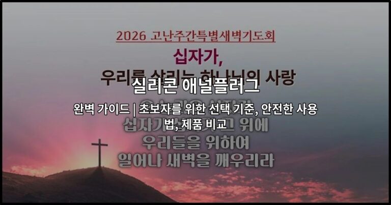실리콘 애널플러그 완벽 가이드 | 초보자를 위한 선택 기준, 안전한 사용법, 제품 비교