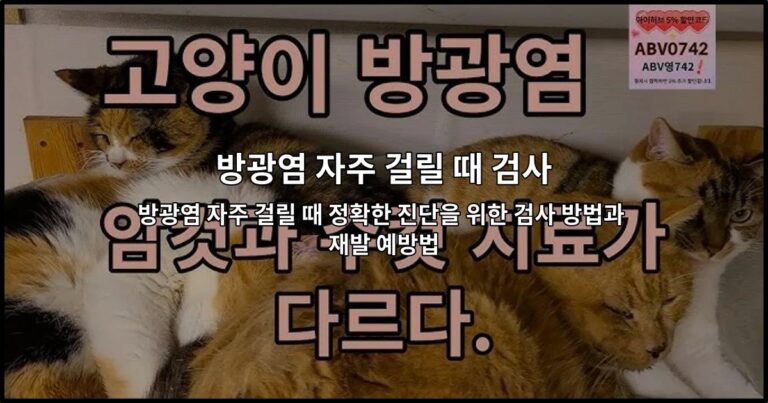 방광염 자주 걸릴 때 정확한 진단을 위한 검사 방법과 재발 예방법